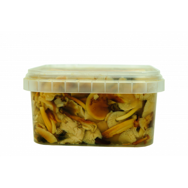 Купить Грибы маринованные (опята) пластиковый контейнер 650 гр 1/5 Купить Грибы маринованные (опята) пластиковый контейнер 650 гр 1/5